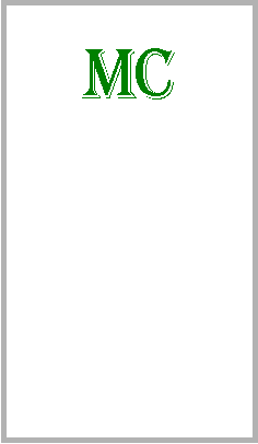 Textfeld: MC