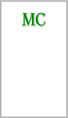 Textfeld: MC